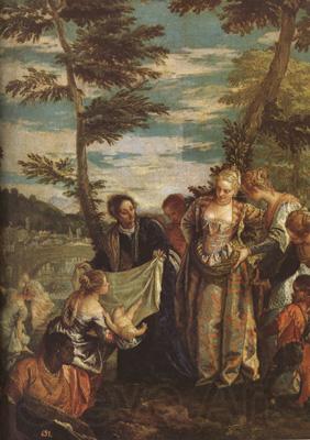 Paolo  Veronese The Finding of Moses (mk08) Spain oil painting art